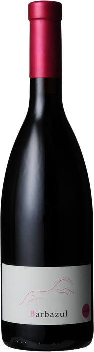 2012 Barbazul Rosado - Vino de la Tierra de Cadiz