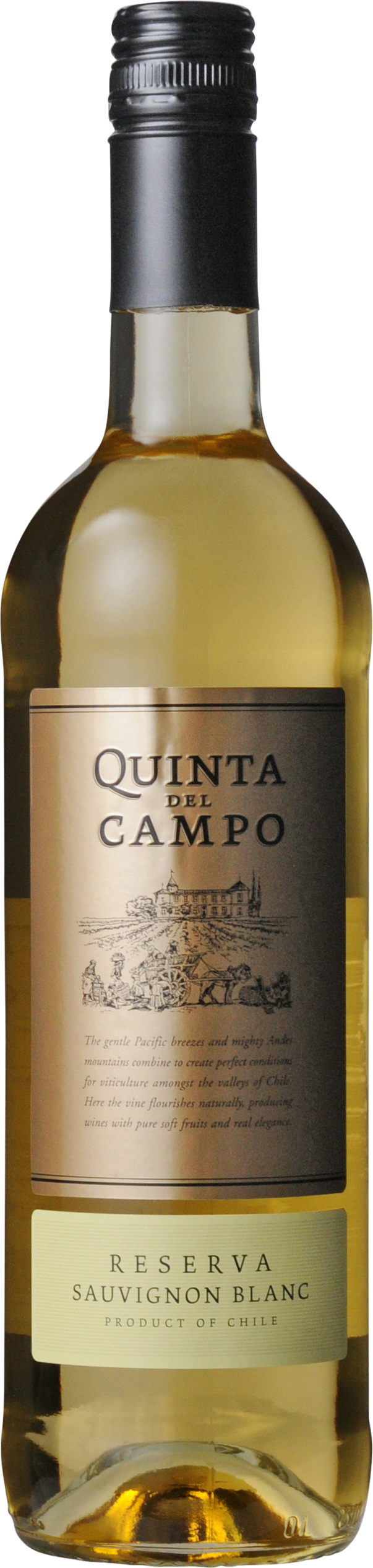 Quinta del Campo