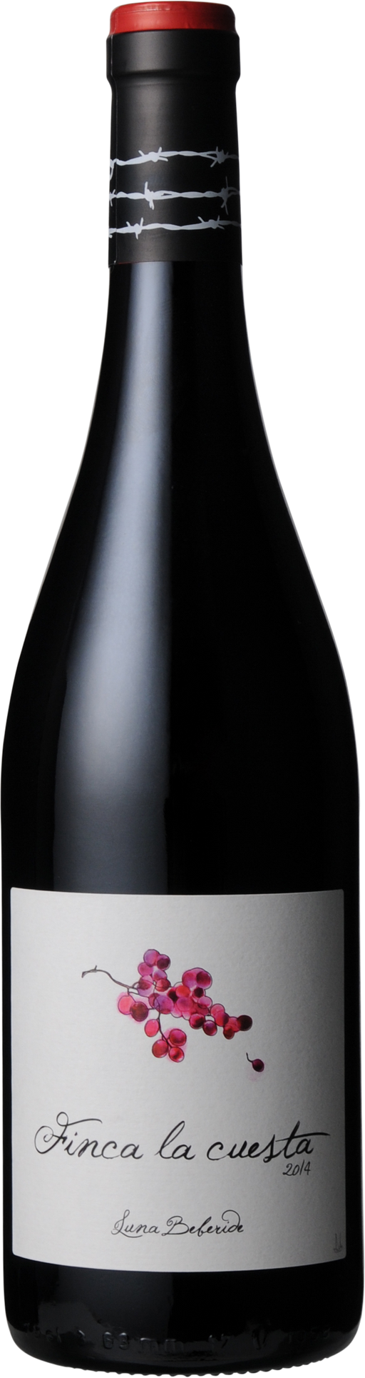 2014 Finca la Cuesta