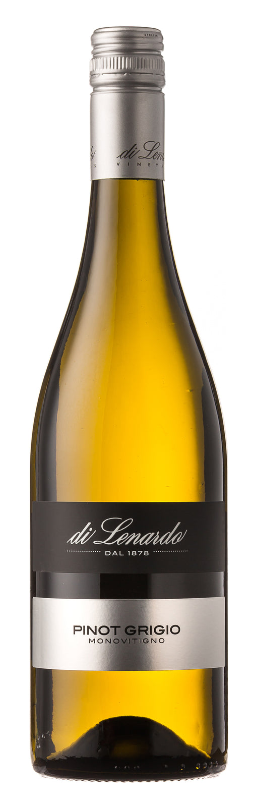 2017 Pinot Grigio - Venezia Giulia